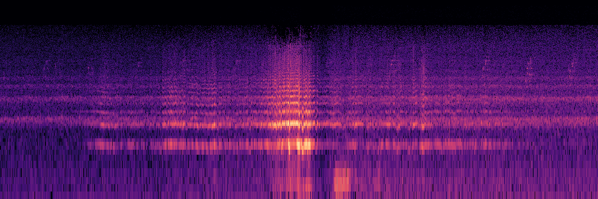 Spectrogram: Insect Buzzing
